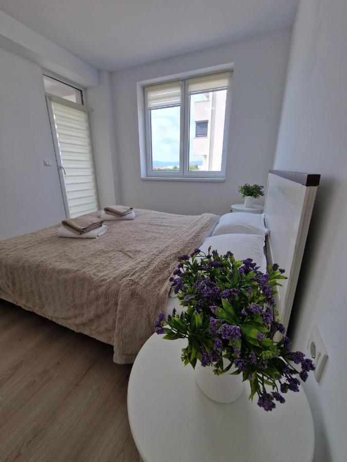 San Casa Apartment Sebeş Esterno foto